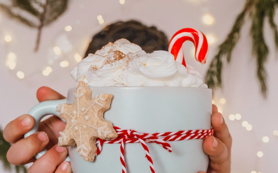 Un joli livre pour Noël : « Tout en haut de ma liste », d’Emily Blaine